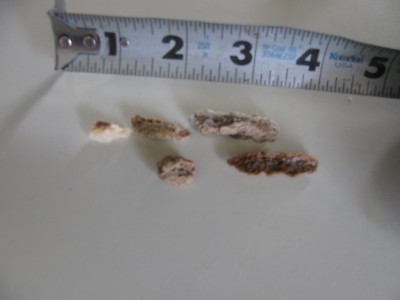 A Work of ART--FORGED (Not Cast) Water Heater Drain Valve