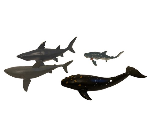 Wing Crown Shark Whale Animal Planet Lot Of 4 | eBay