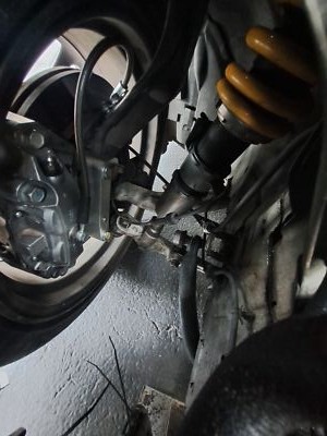 Artikelfoto(s) von einem verifizierten Käufer