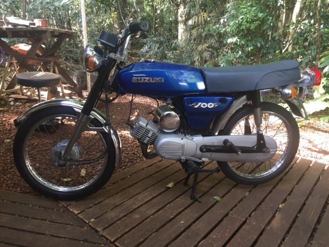 Suzuki ad 100