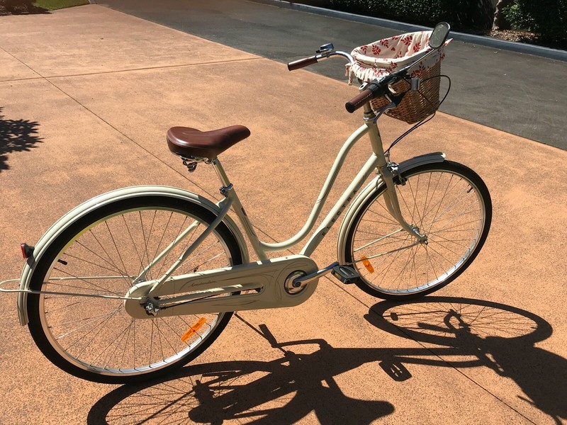 electra gypsy bike