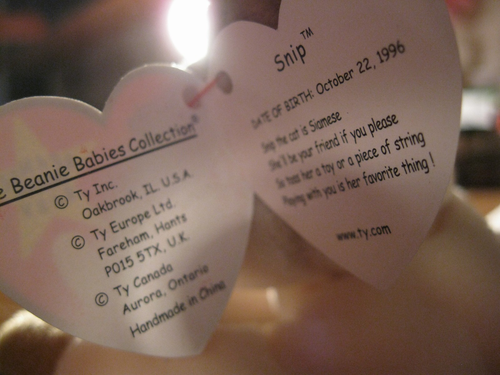 Snip  The Siamese Cat DOB  October 22 1996