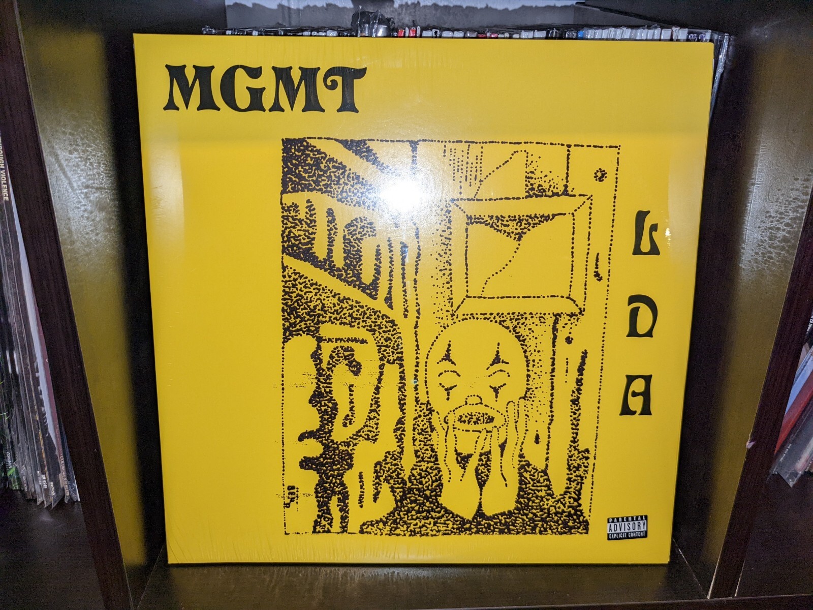 MGMT アルバム「MGMT」 LPレコード MGMT – Little Dark Age – 2 x Vinyl (180g, LP, Album, Stereo