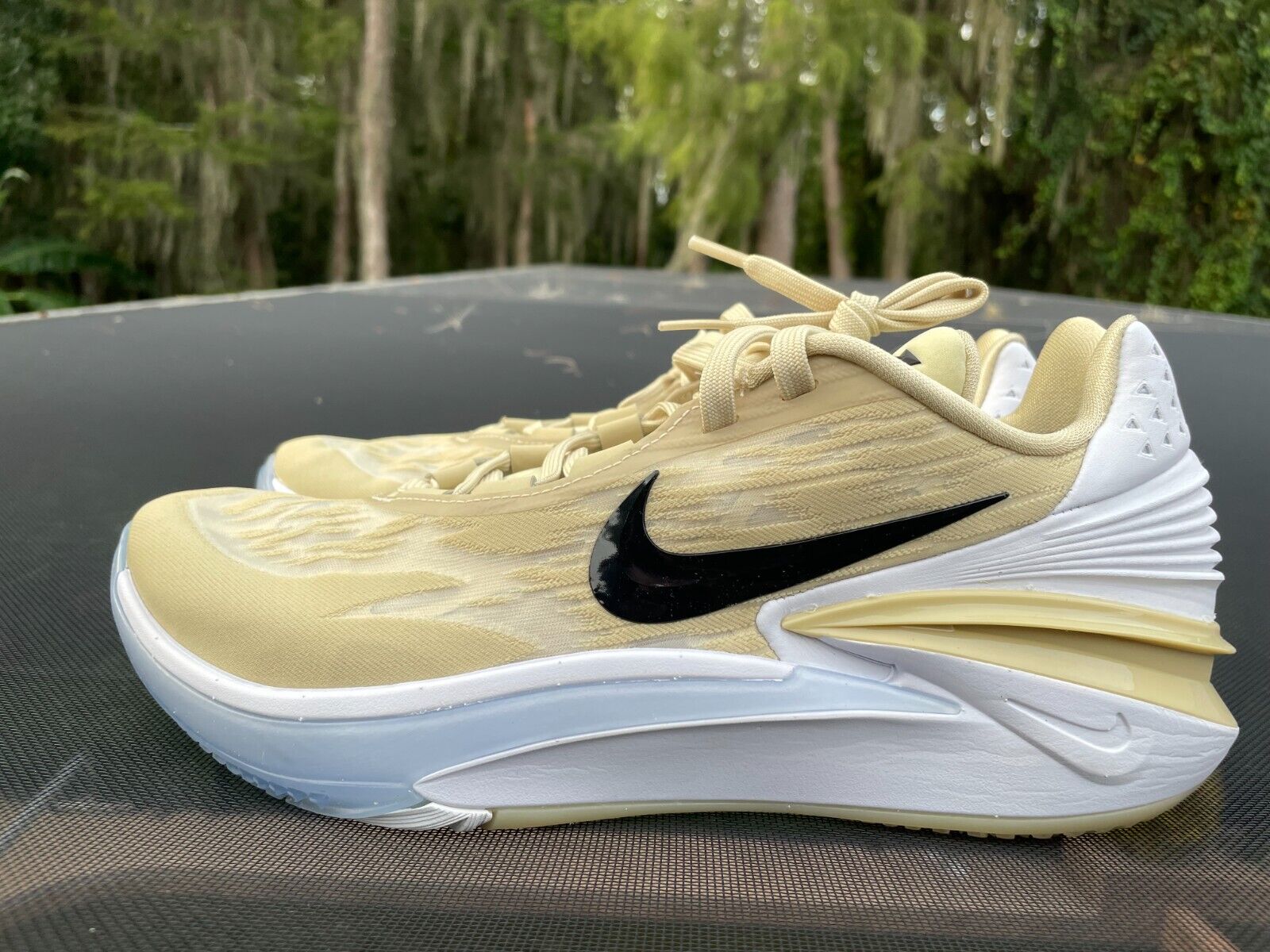 New NIKE AIR ZOOM G.T. GT CUT 2 TB TEAM GOLD Size 11.5 New NIKE AIR ZOOM G.T. GT CUT 2 TB TEAM GOLD Size 11.5
