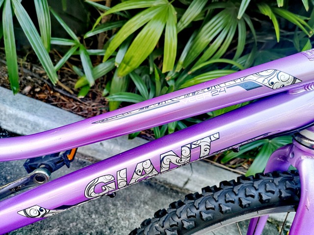 giant veer 24