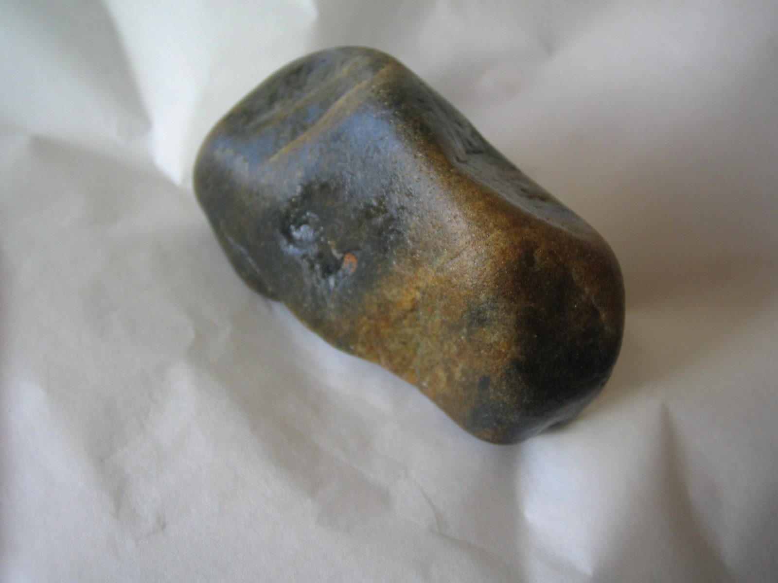 Prehistoric Bear carving with multiple images found in Colorado