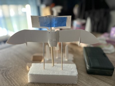 Fotos del artículo de un comprador verificado