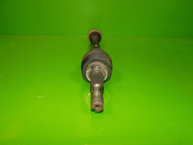 Picture 4