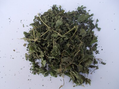 Bulk Stinging Nettle (Urtica dioca)