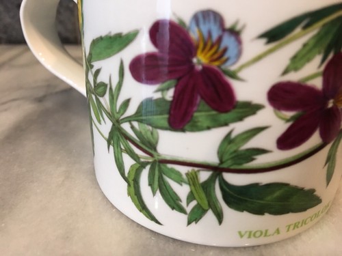 Vintage 1972 Portmeirion Botanic Garden Viola Tricolor Flower Tea or Coffee Cup