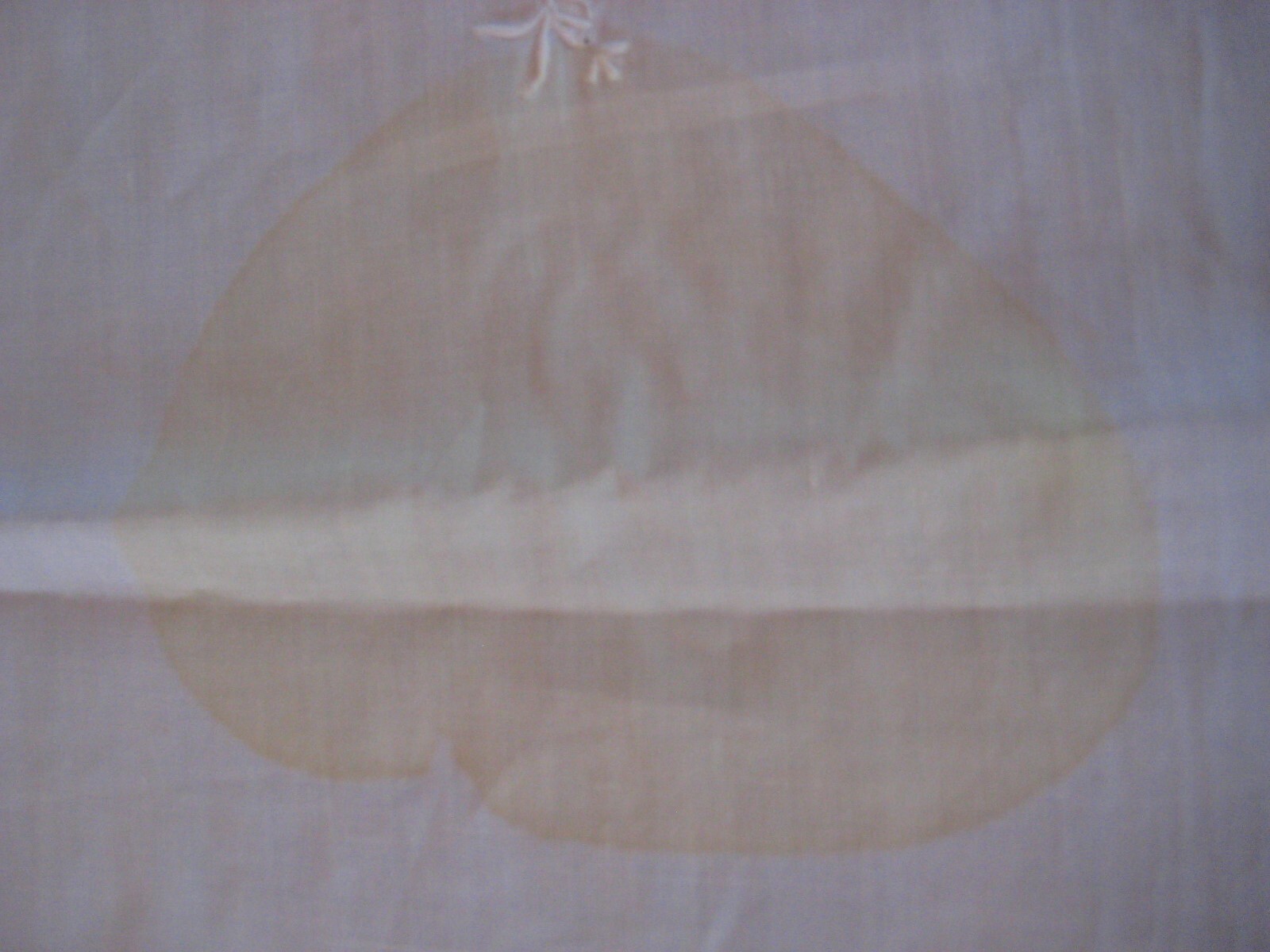 Vtg Banquet Organdy Madeira Embroidered Tablecloth 12 Napkins Applique 102 x 65