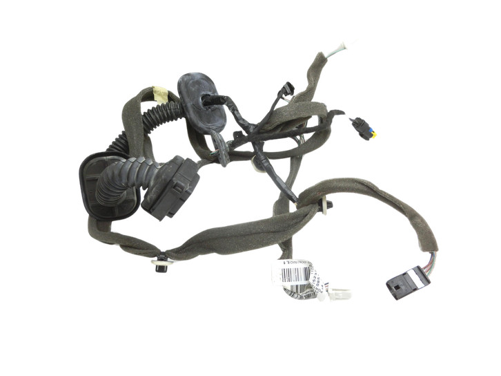 Renault Scenic III JZ 09-12  Kabelbaum Tür und Fensterheber Links Vorne  - Bild 1