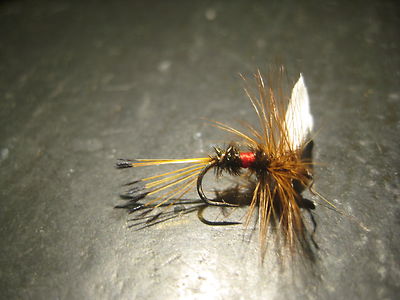 mouche Gilchrist mouches 3 March Brown nymphes.gr.12