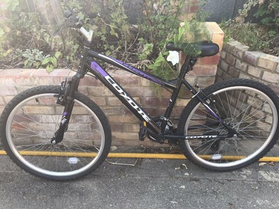coyote ghetto fat bike