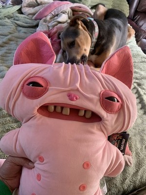 Fotos del artículo de un comprador verificado