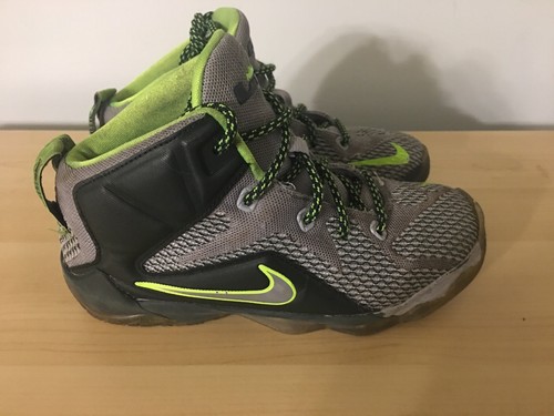 Nike Lebron XII Dunkman 685184-007 Toddler Kids Gray Green Size 13c