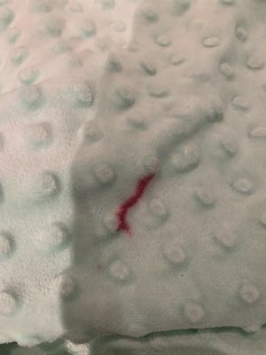 Artikelfoto(s) von einem verifizierten Käufer