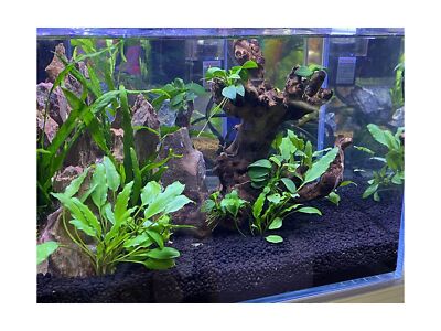 LANDEN Aqua Soil Substrate for Natural Planted Aquarium, Plant or Shrimp Stra...