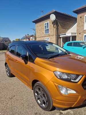 Fotos del artículo de un comprador verificado