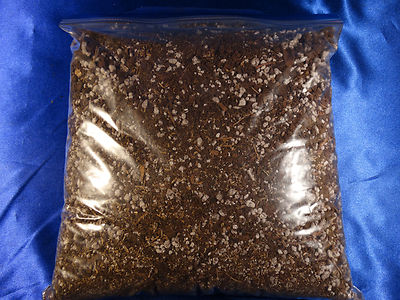 Special Mix Power Grow Carnivorous Plant Soil Venus Flytrap Pitcher Trumpet 3CUP