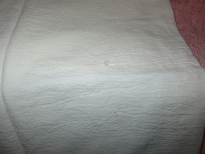 2 Vintage Muslin/Cotton Tea Towels -Embroidered & Appliquéd - Sunbonnet Sue