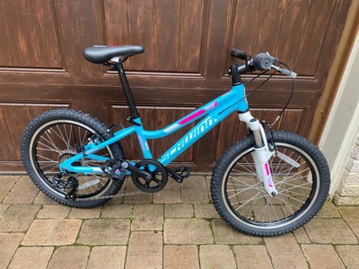 dyno basher mountain bike