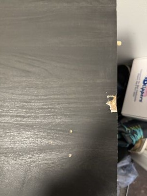 Artikelfoto(s) von einem verifizierten Käufer