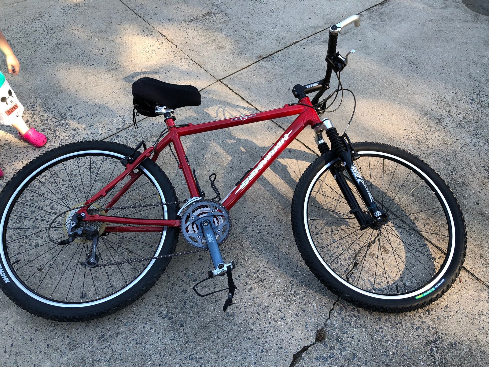 Schwinn Homegrown Mountain Bike