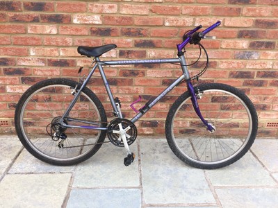 Raleigh Gritstone 21” Frame Bike