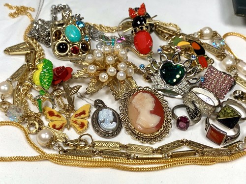 洋書 Costume Jewelry The Fun of Collecting Costume Jewelry: The Fun of Collecting: Schiffer, Nancy