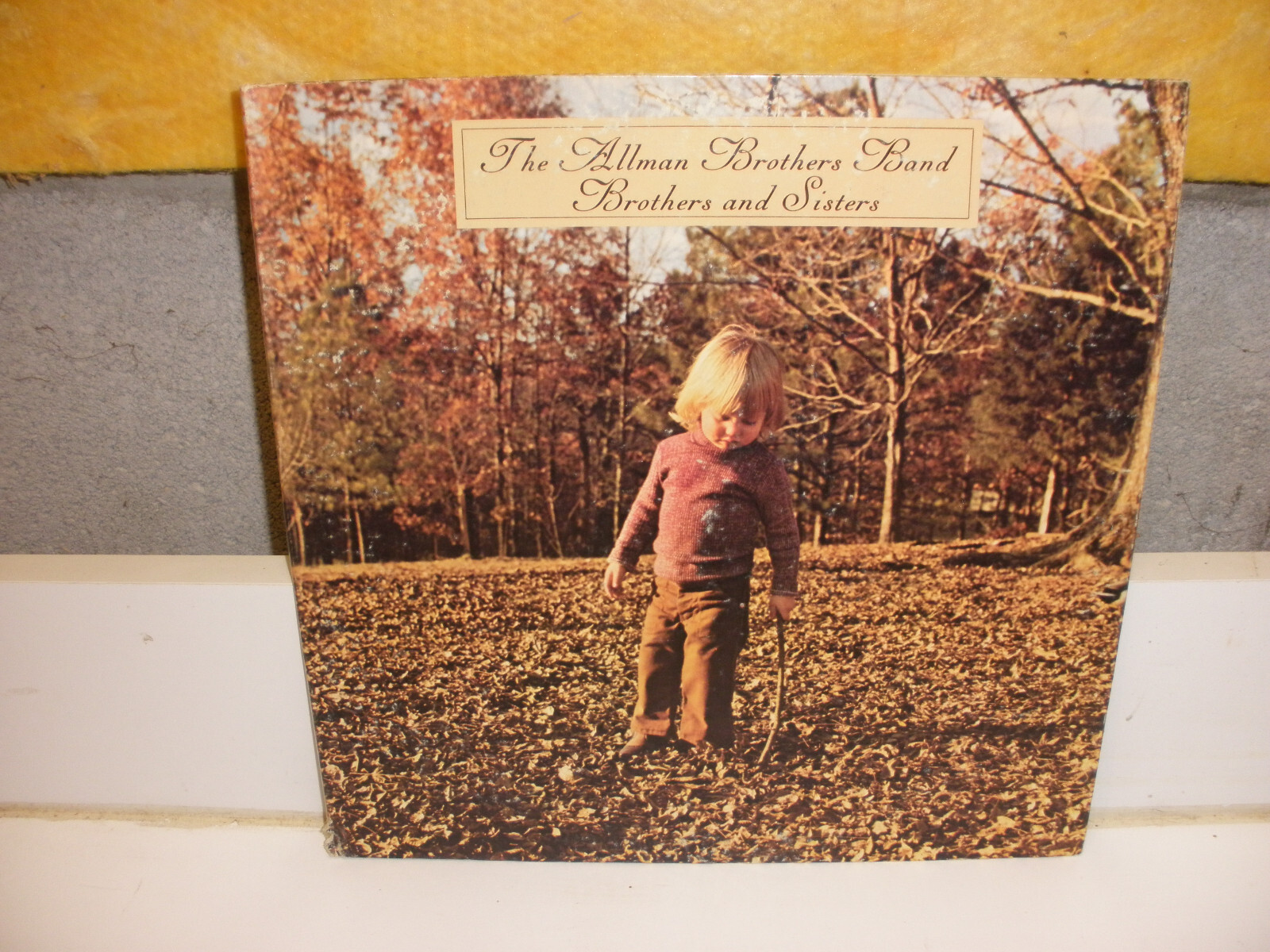 Vintage Vinyl 33 1/3 RPM Record The Allman Brothers Band