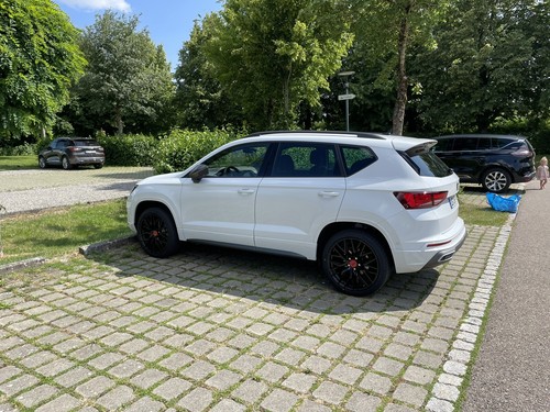 Artikelfoto(s) von einem verifizierten Käufer