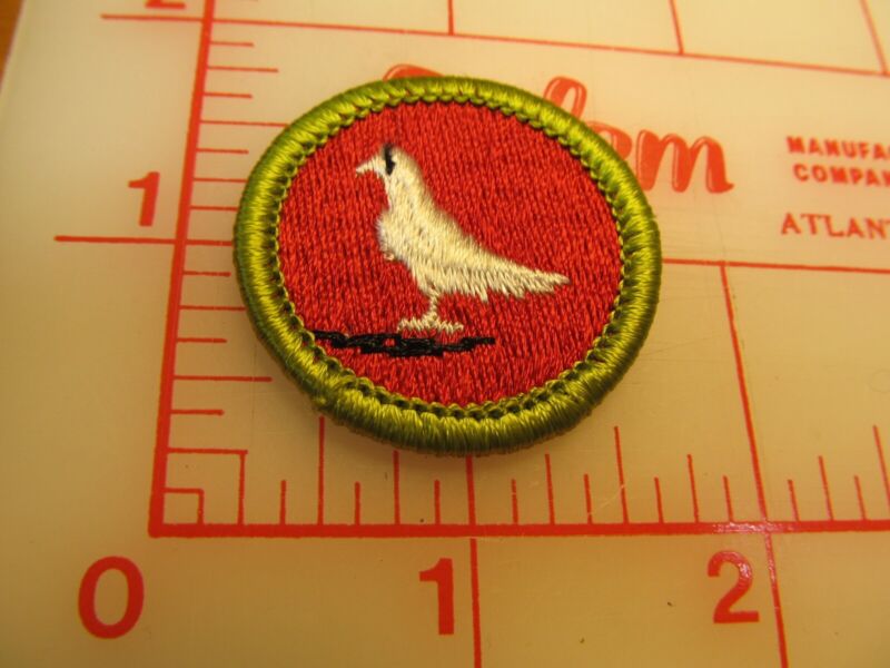 PIGEON RAISING merit badge plastic backed patch (oP)