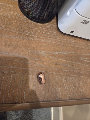 Fotos del artículo de un comprador verificado