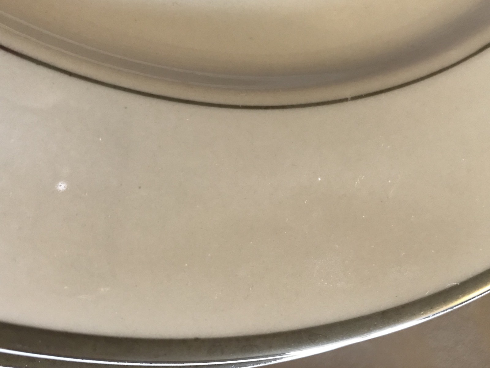 7 INTERNATIONAL SILVER CO WHITE SILVER PLATINUM RIM RINGS DINNER PLATES 10 3/4