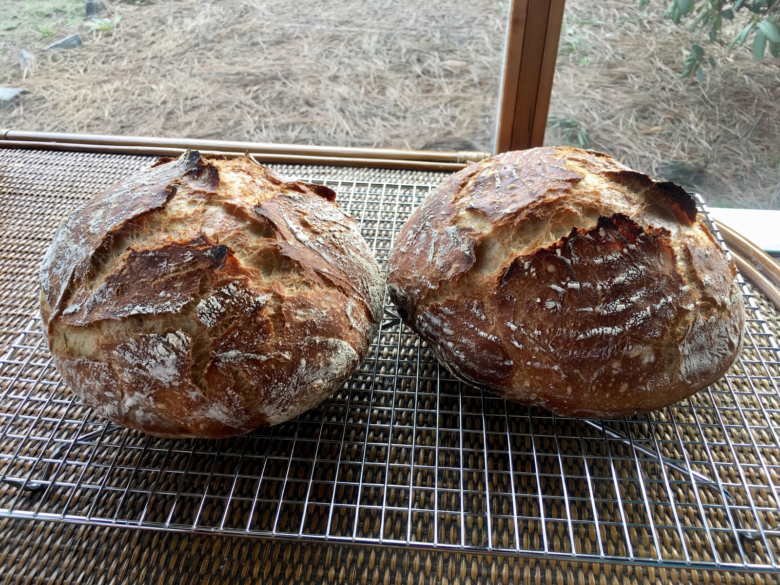 Flour Water Salt Yeast The Fundamentals of Artisan Bread and Pizza