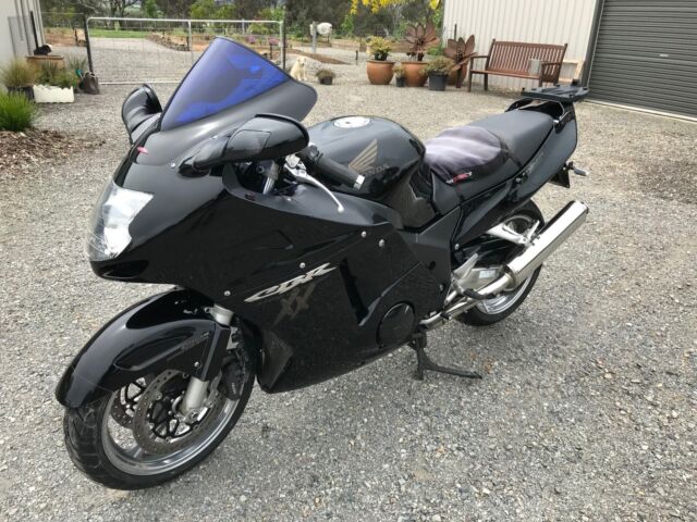 honda blackbird for sale gumtree