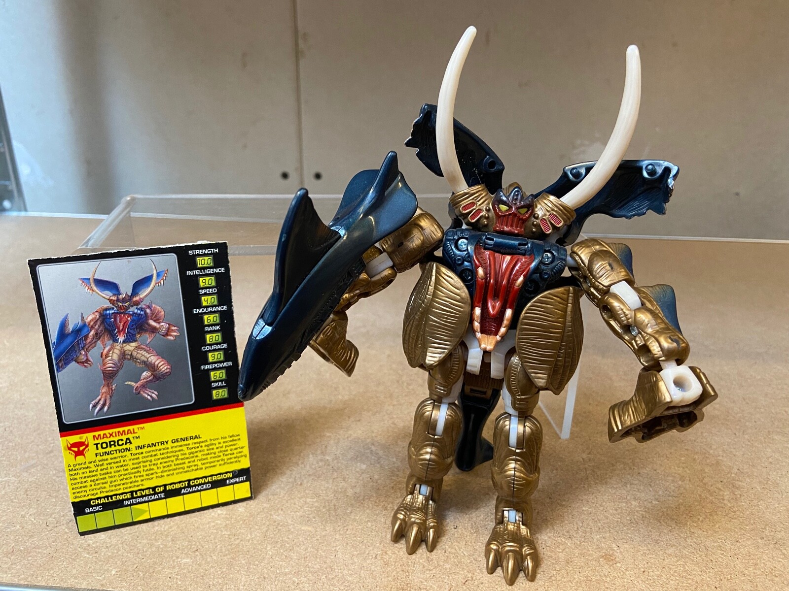 Transformers Beast Wars Fuzors Torca 輸入版 Transformers Beast Wars Fuzors Torca 輸入版