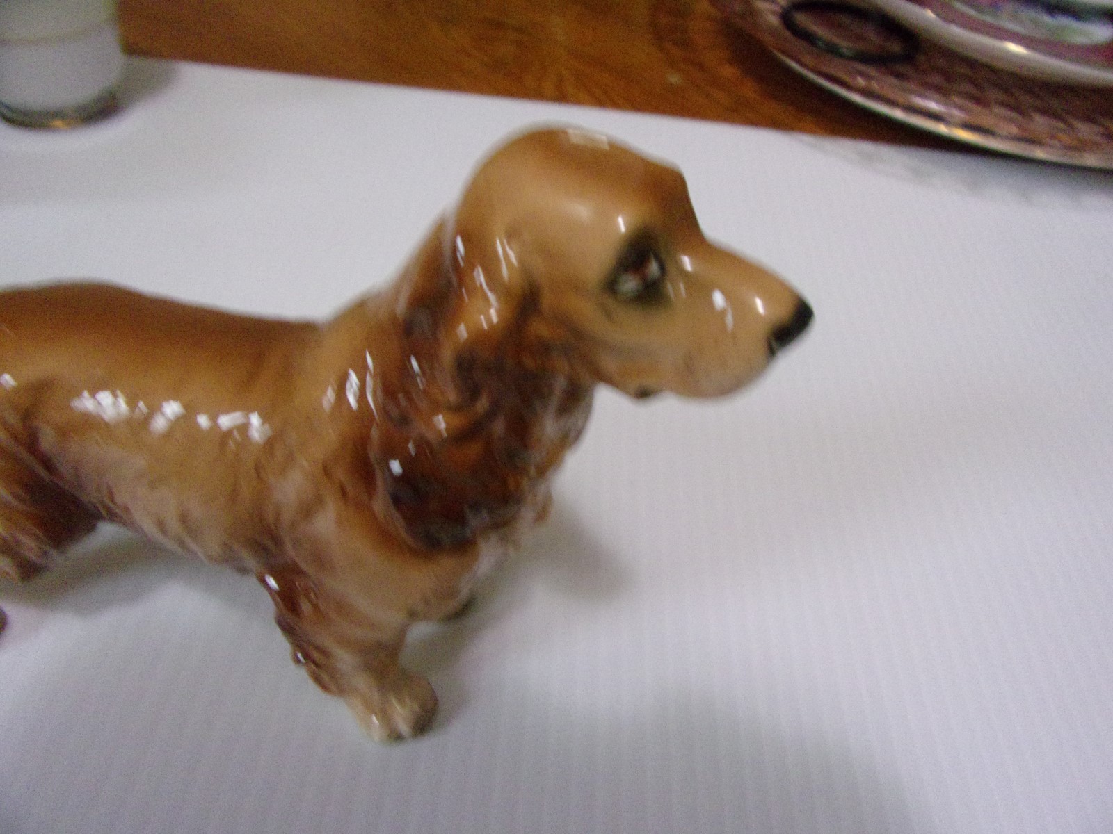 BEAUTIFUL BUFF COLOR   COCKER SPANIEL DOG