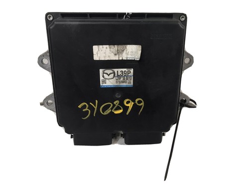 [まつ] メッシュライク スパイクレスシューズ (MENS) | MASTER BUNNY