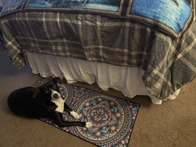 Foto dell'oggetto di un acquirente verificato