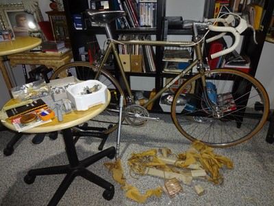 raleigh international bicycle