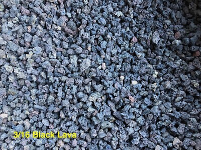 1/8''-3/16'' Horticultural Black Lava for Cactus & Succulent, Bonsai Tree Soil Mix