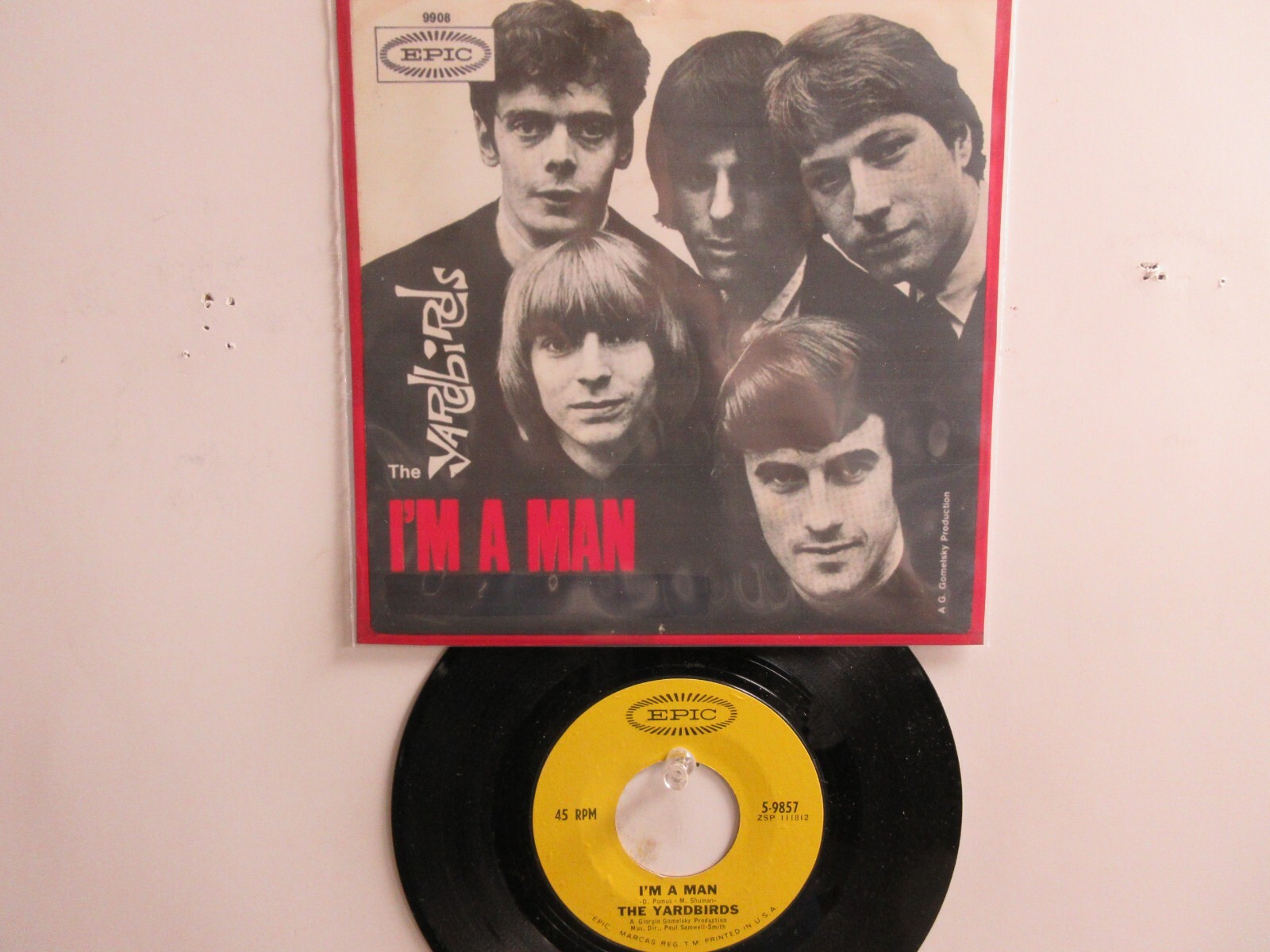 ポスター Rabi 再入荷]no.011鳥王 アートポスター A4サイズ淑女雑貨Toe Cocotte