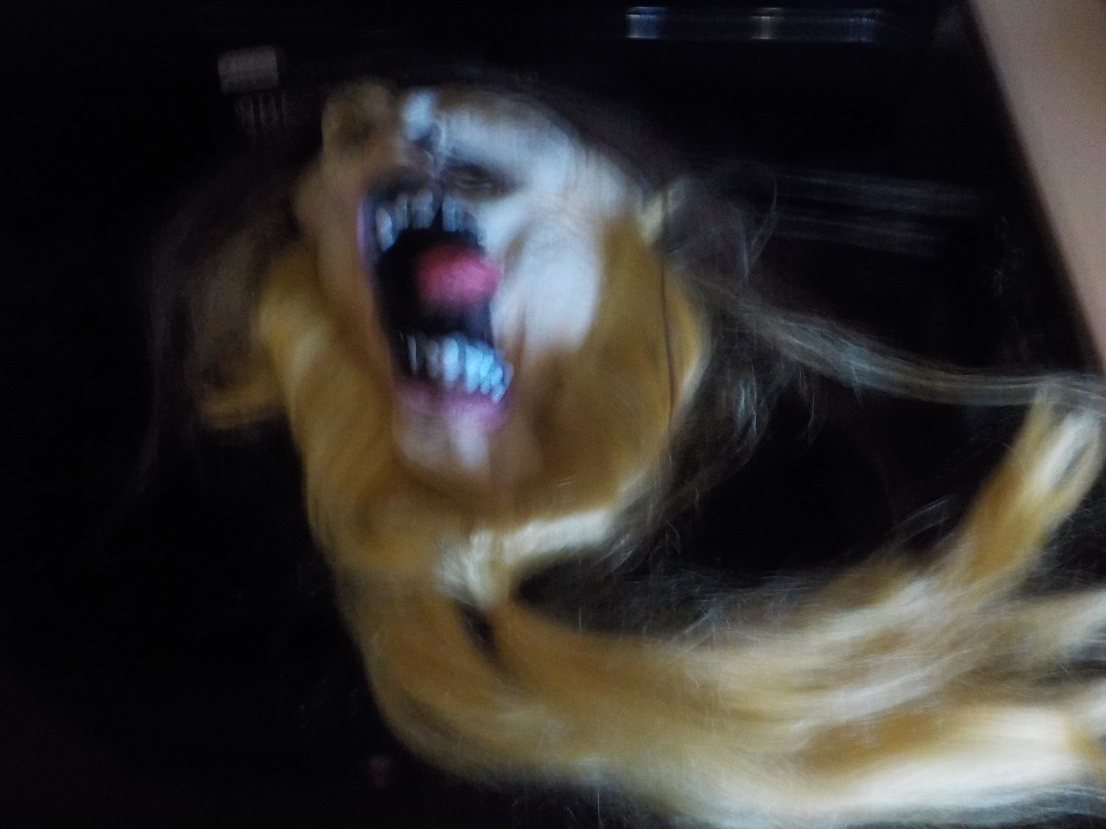 NEW MIDNIGHT CREATURES HAIR RAISER SCARY MASK!!!!