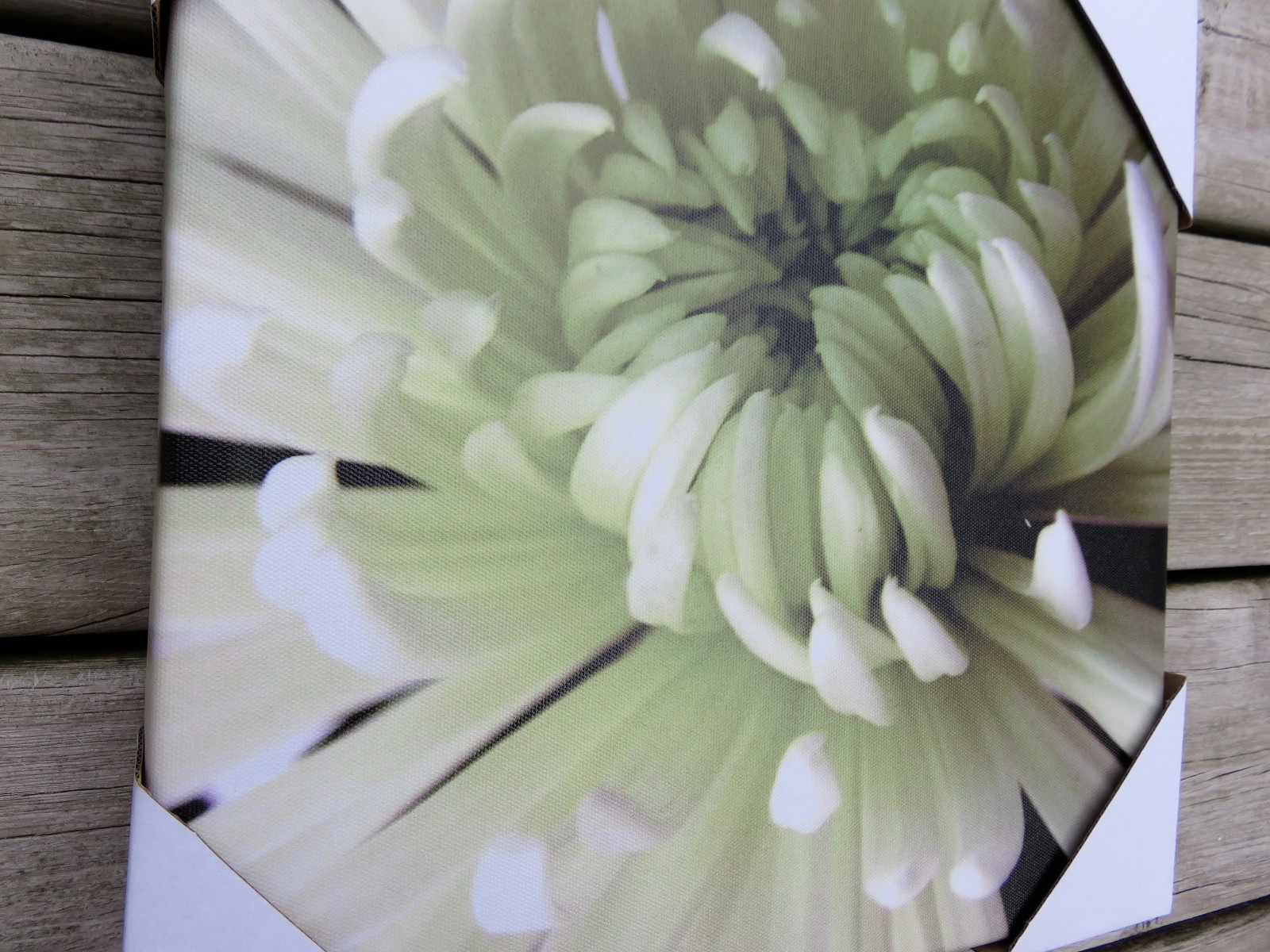 OUTDOOR CANVAS WALL PLAQUE GARDEN DECOR 12in.x12 in yard decor White Flower