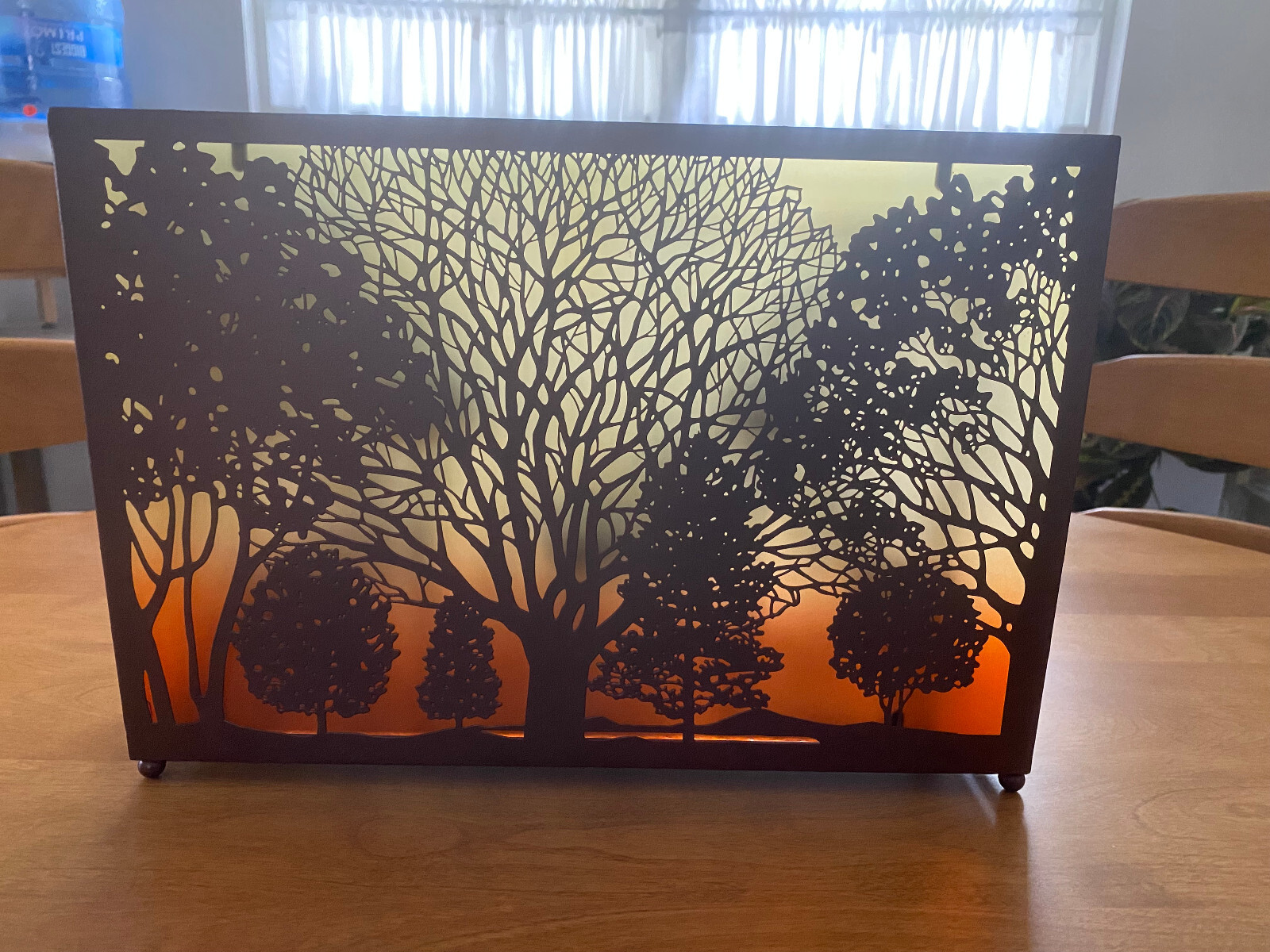 Sunset Woodland