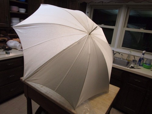 Vintage  Photography Umbrella