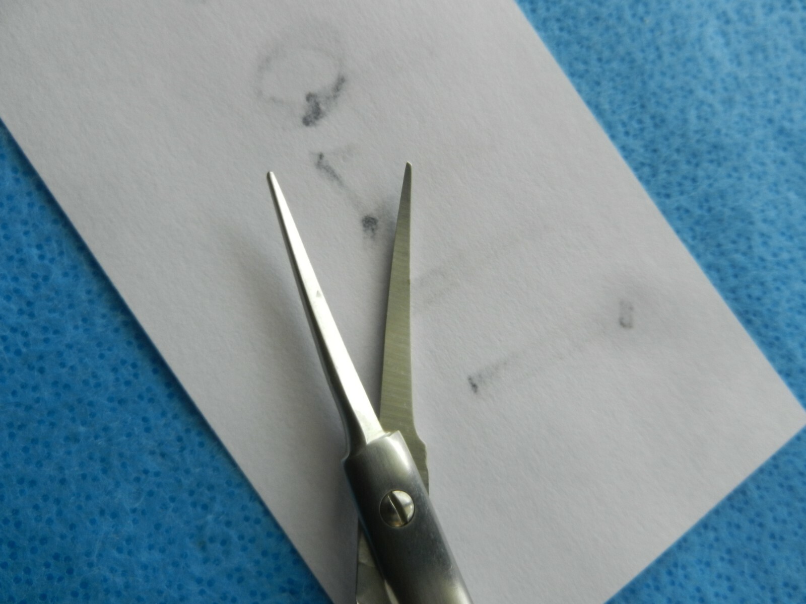 Padgett Surgical Brown Curved Dissecting Scissors P-6583