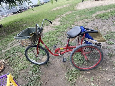 Fotos del artículo de un comprador verificado